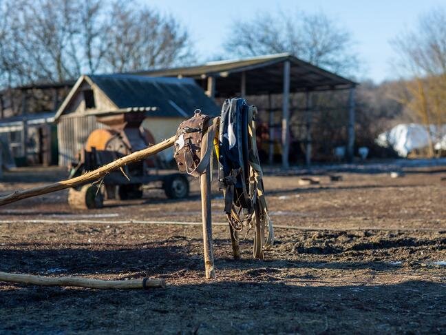 Как сделать деревянные сани