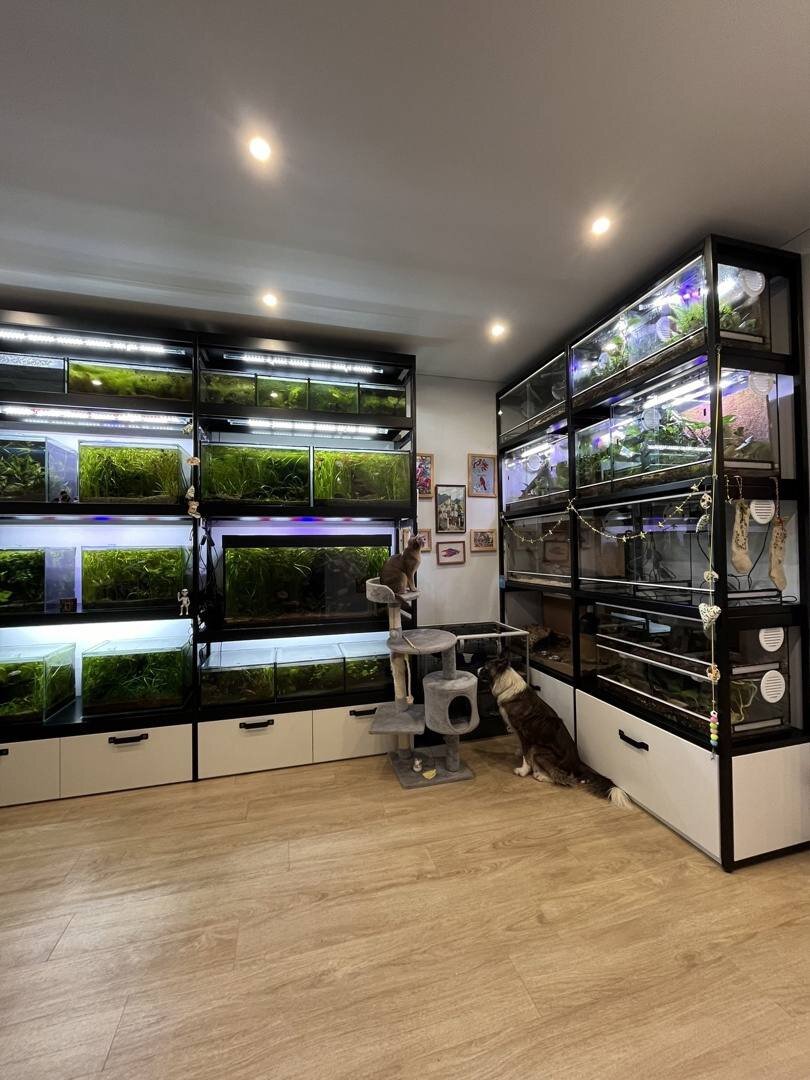 Уникальное место, редкие животные . В гостях у Александры Чеботаевой 2023 г.