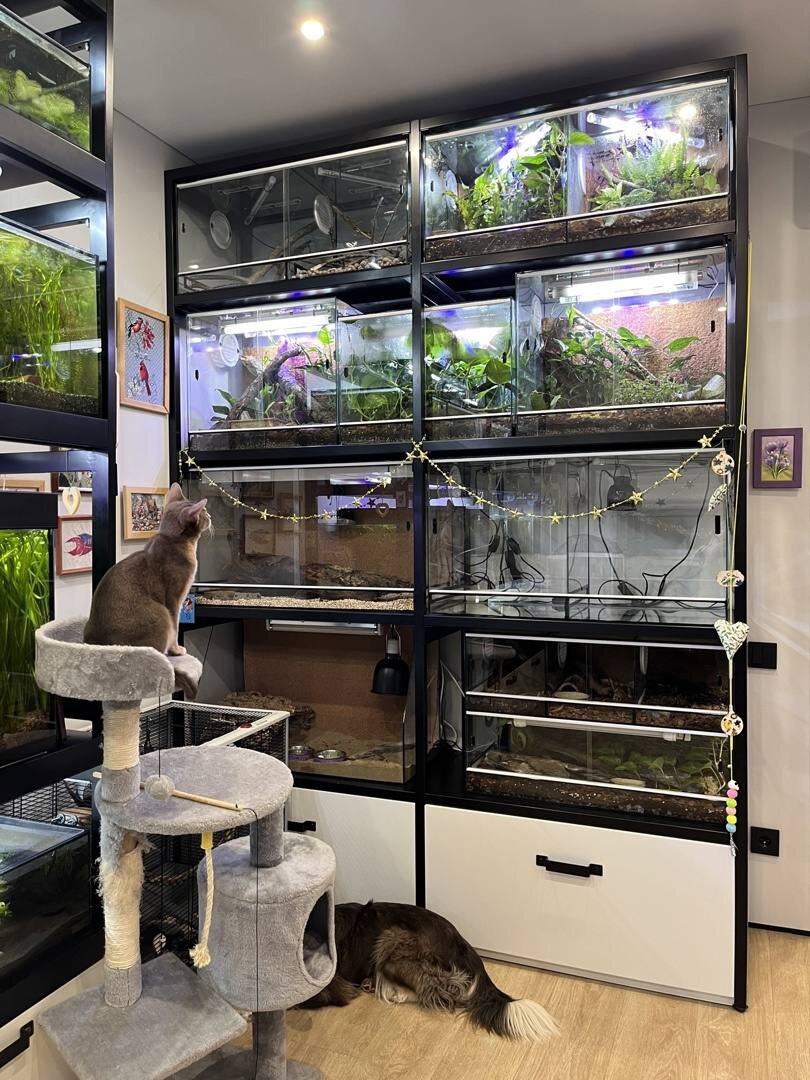 Уникальное место, редкие животные . В гостях у Александры Чеботаевой 2023 г.