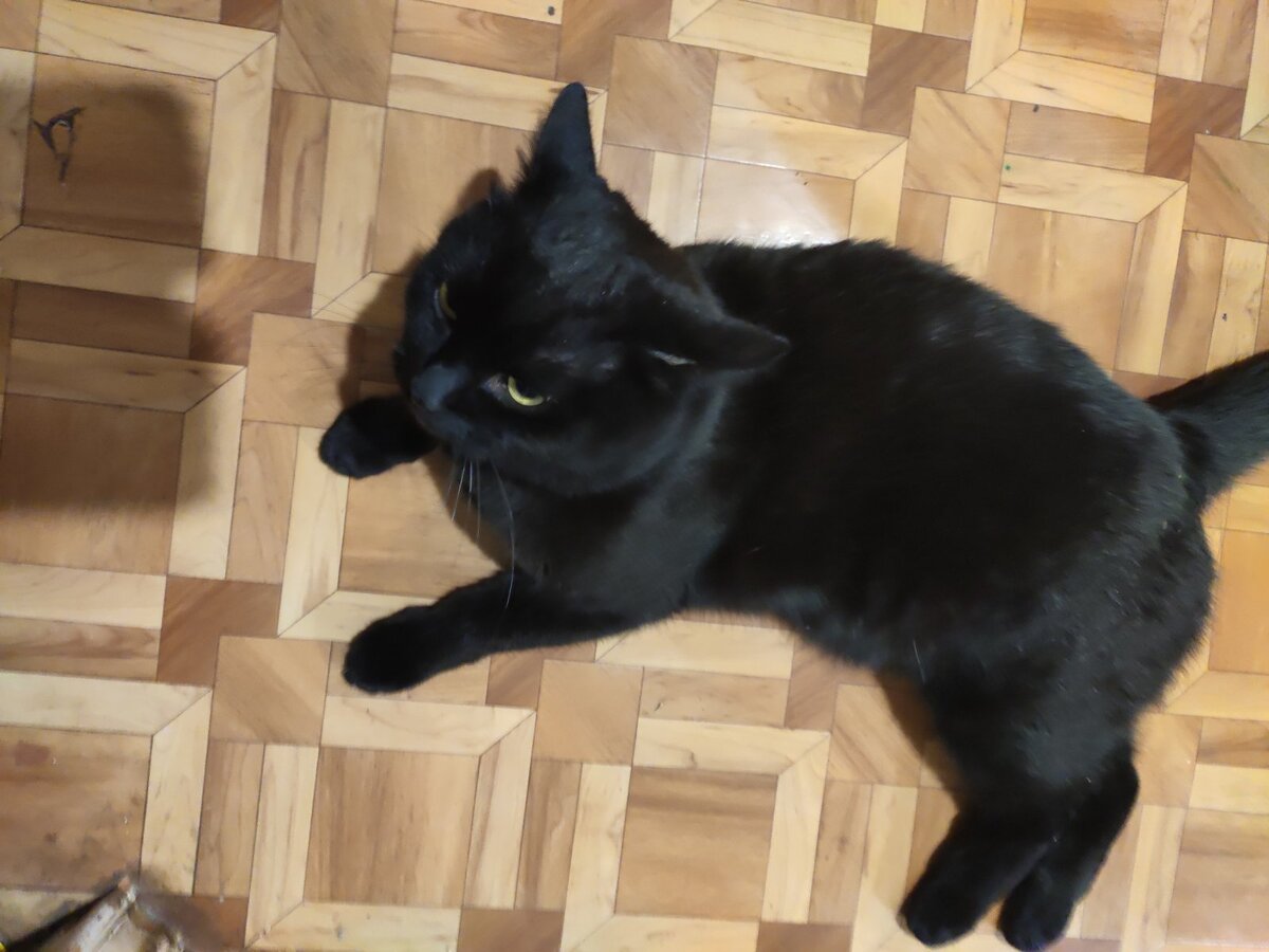 Фото автора 