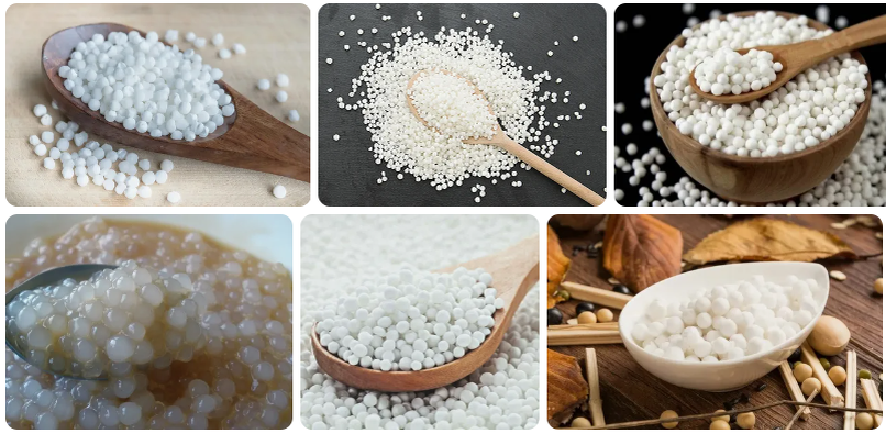 Саго (рисунок из Сети)