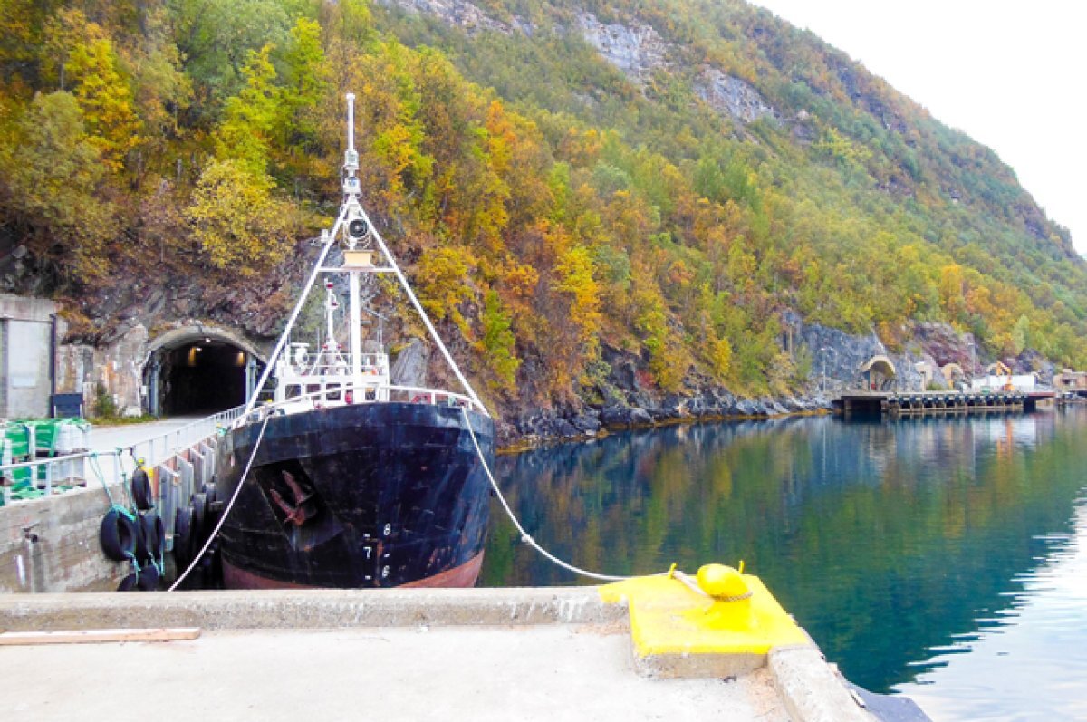    В Норвегии могут прекратить ловлю рыбы из-за загрязнения вод микропластиком