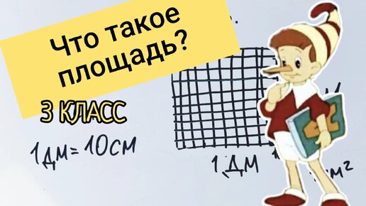 Что такое площадь? Объясняю, как в 3 классе