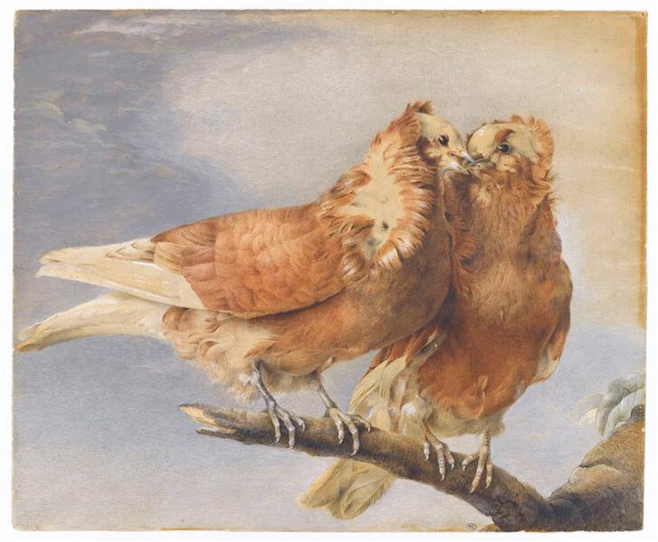 Мария-Тереза Ребуль «Два голубя на ветке дерева»