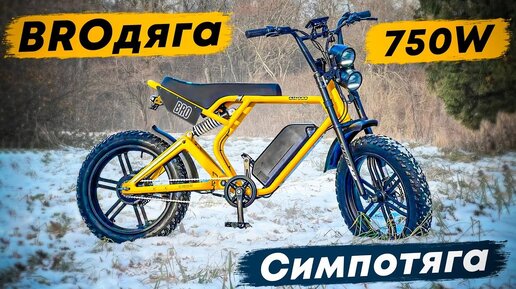 ПРОХОДИМЕЦ для ЗИМЫ / Обзор на Электрофэтбайк BRO 750W