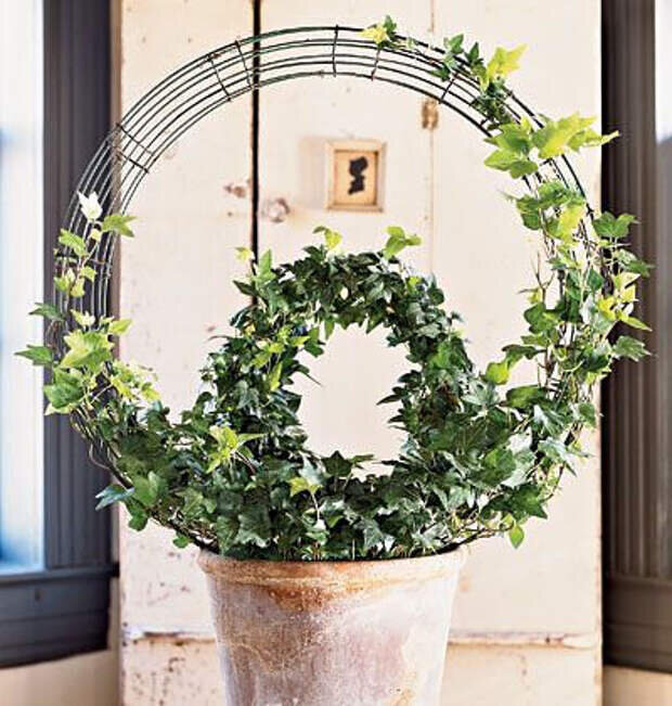 Фото из открытого доступа. Добавьте описание
