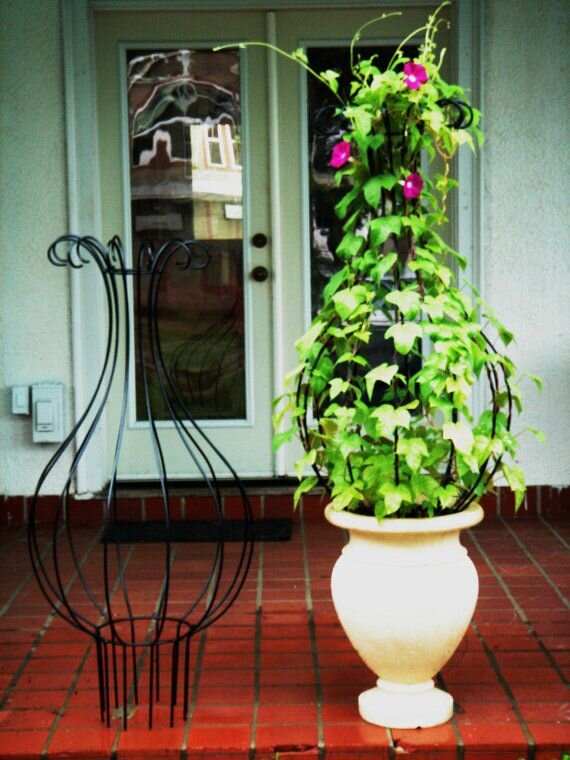 Фото из открытого доступа. Добавьте описание
