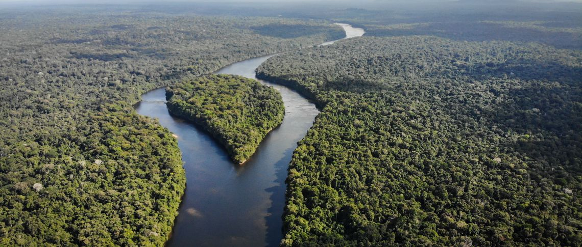 Побережье реки Эссекибо. Этот регион богат залежами нефти. 