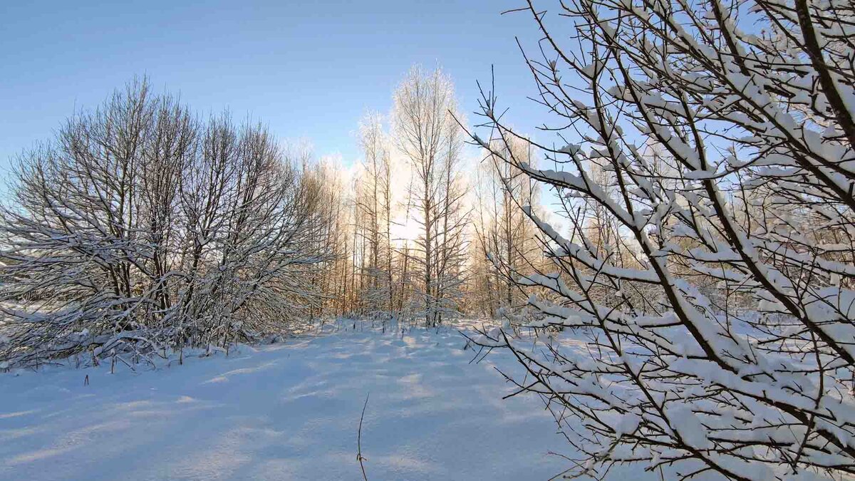 Зимы во Владимирской области многоснежные, но не очень холодные.
