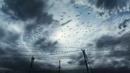     Виталий Бережной, приговоренный к пожизненному сроку за убийство 8-летней девочки из Тюмени Насти Муравьевой, отправлен отбывать наказание в пермскую колонию особого режима «Белый лебедь».