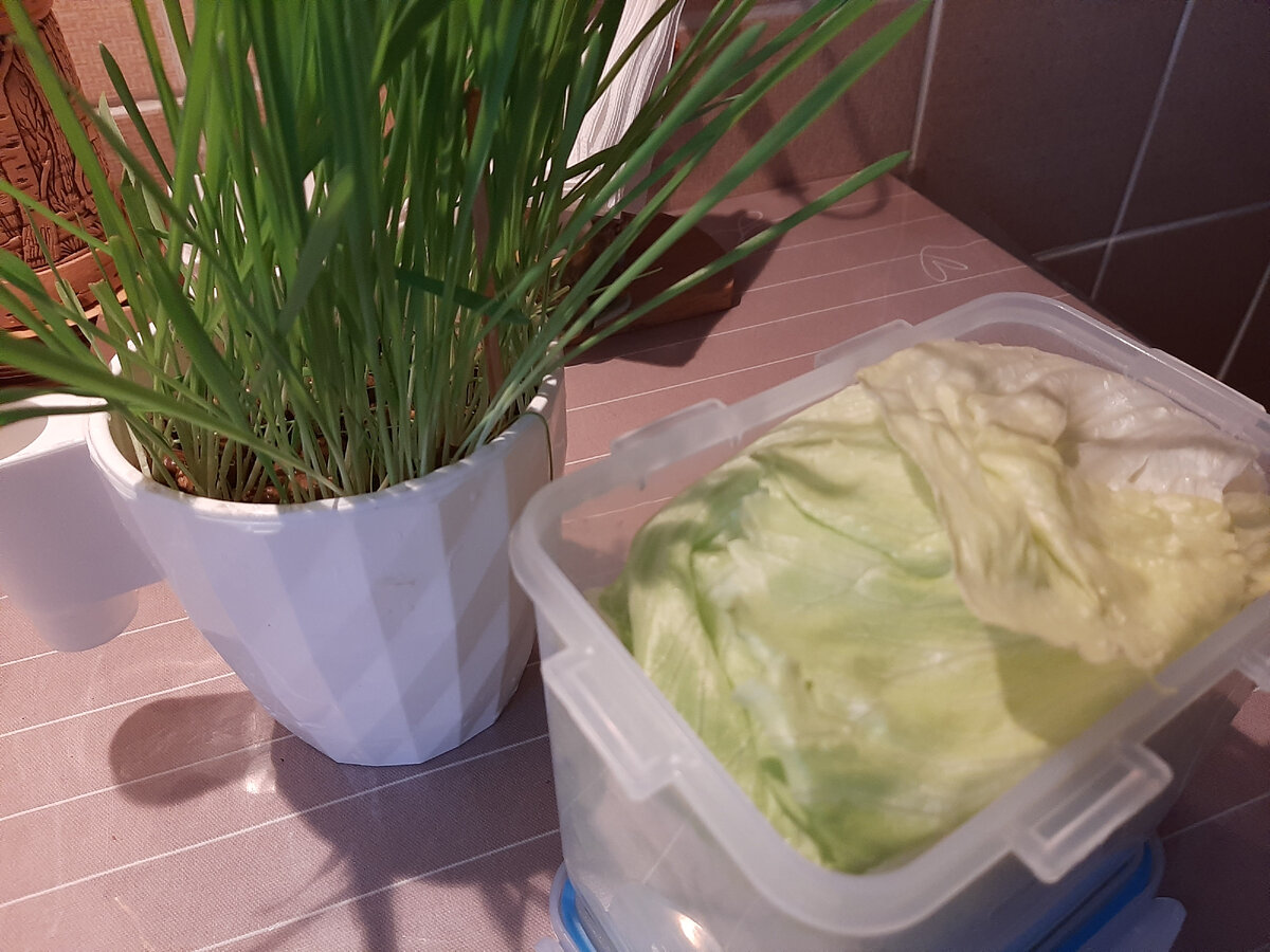 Салат для Кеши и для меня