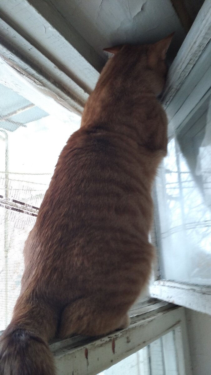 Личное фото