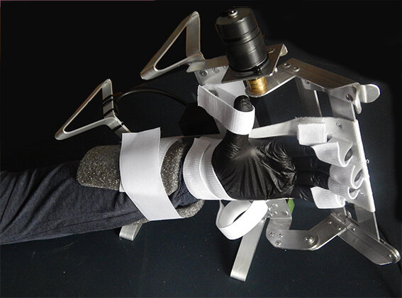 Рука в тренажере Бутон для двух рук.