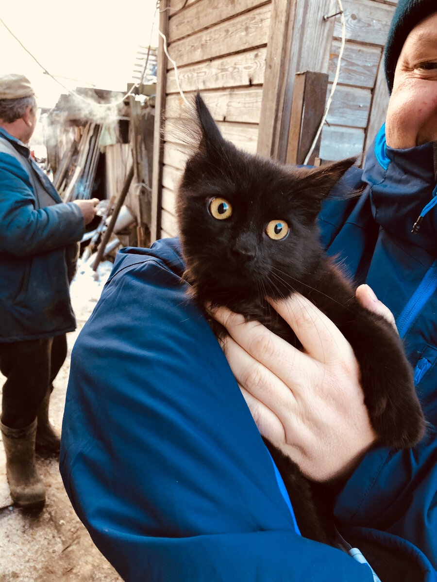 Кузя в детстве. Везде фото автора.