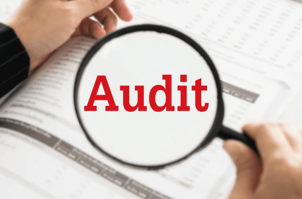 Фото с сайта Яндекс.Картинки - Аудит