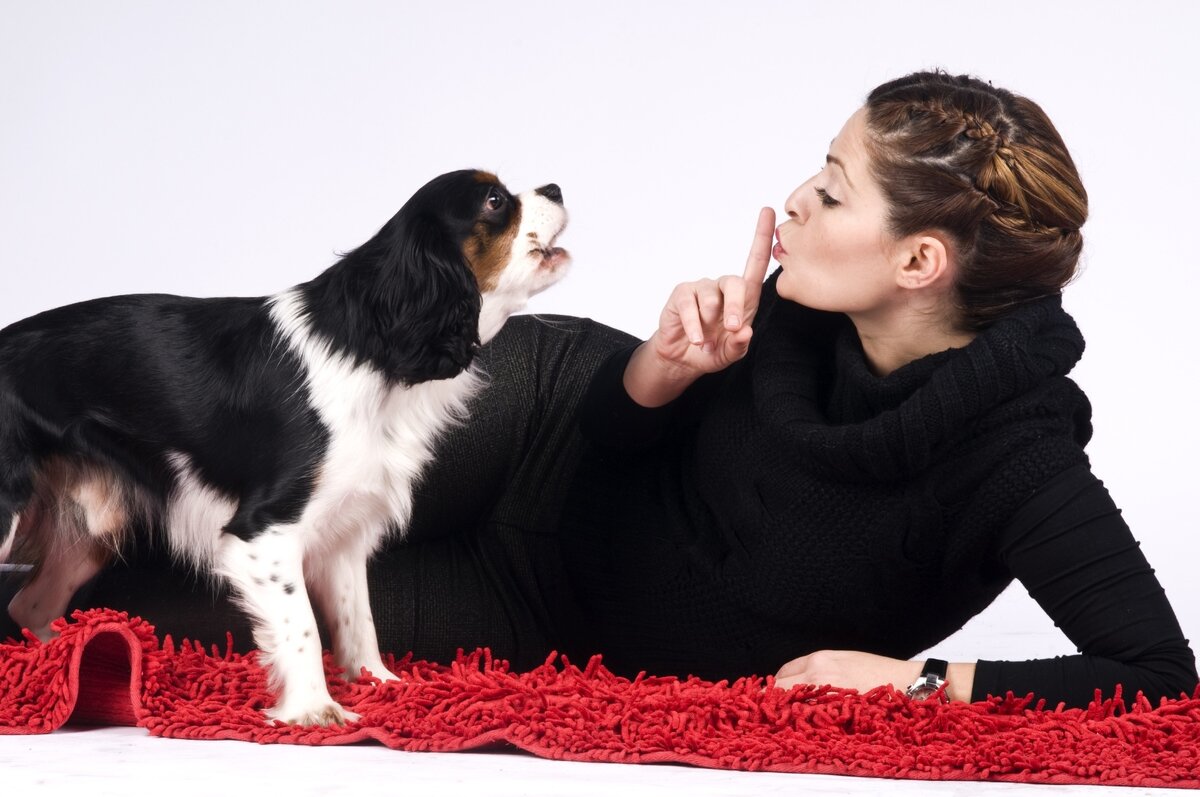 Изображение из открытых источников. Благодарим его автора.