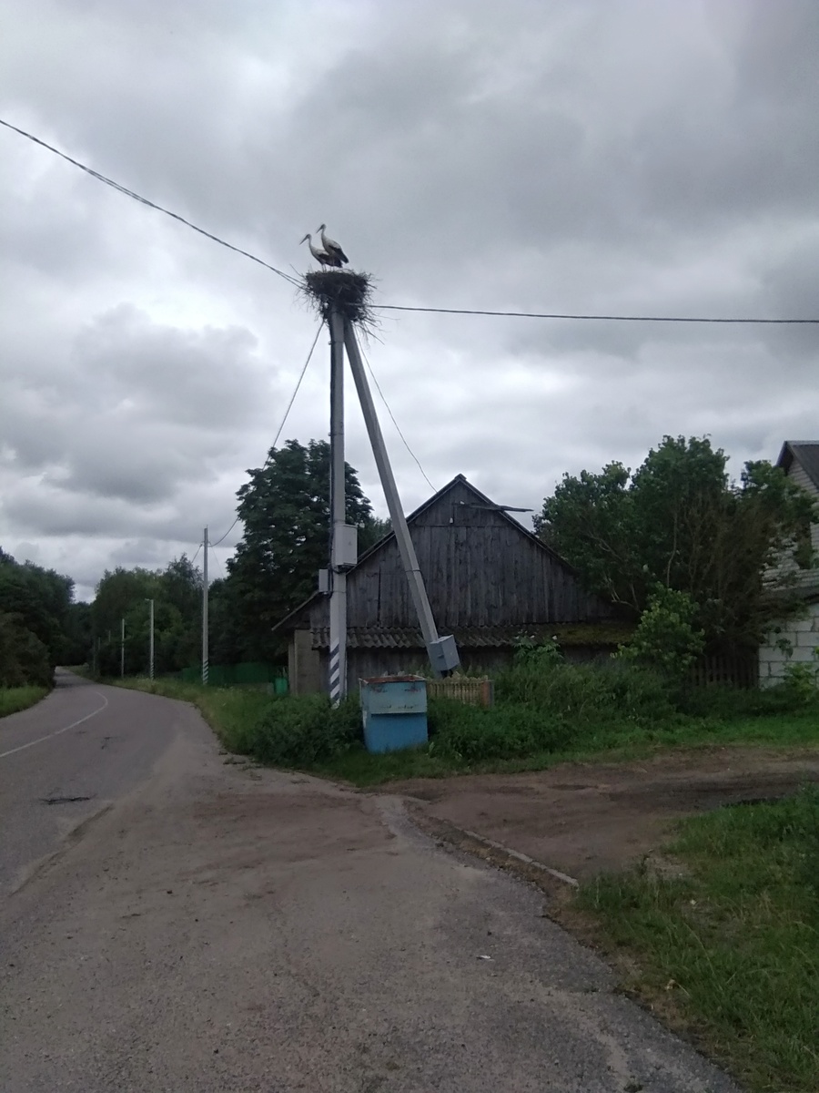 Аппартаменты на столбе