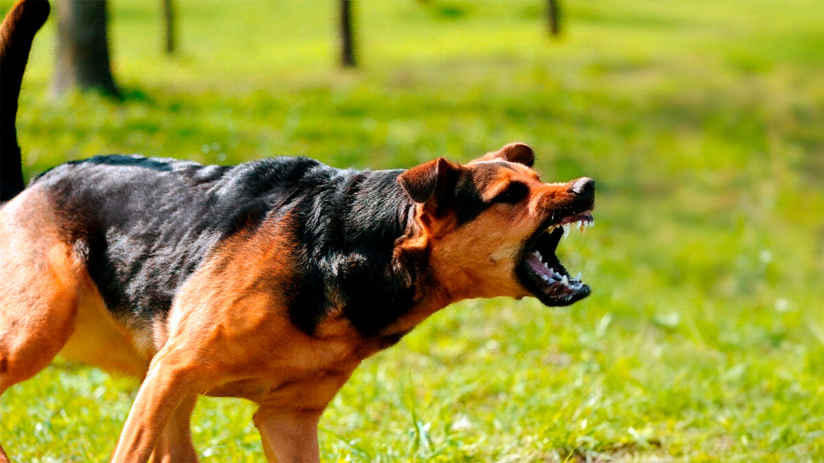 источник фото: s7.cdn.eg.ru