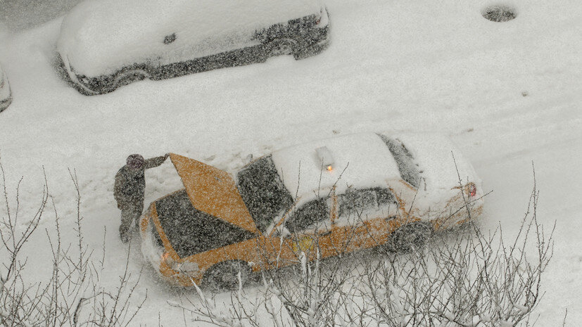   Gettyimages.ru Bo Zaunders