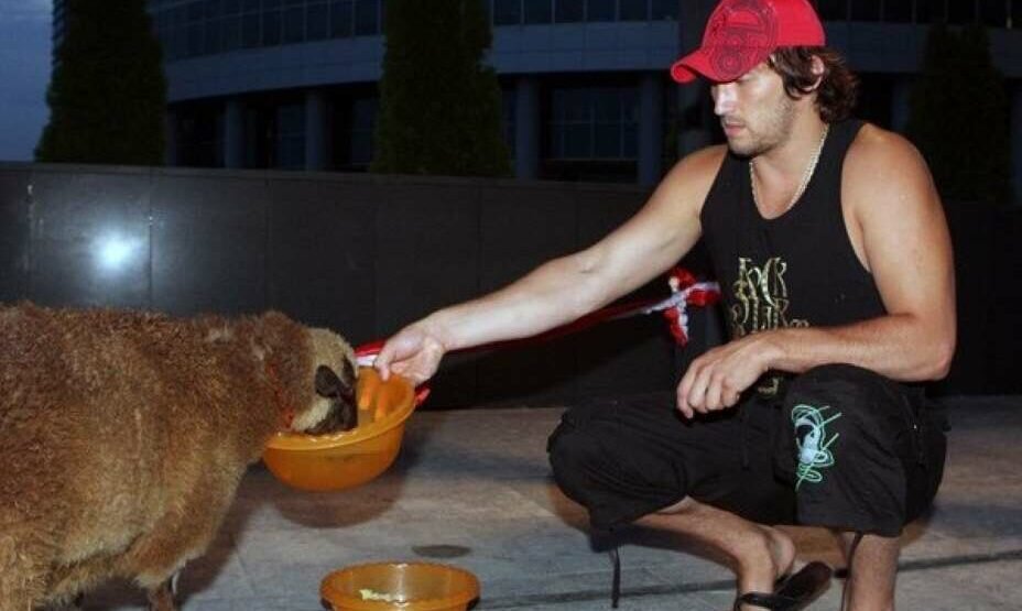    Хоккеисту Александру Овечкину подарили овцу. Фото: Соцсети Александра Овечкина