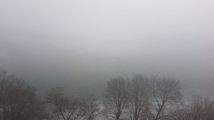 И такая весна. Фото автора канала 