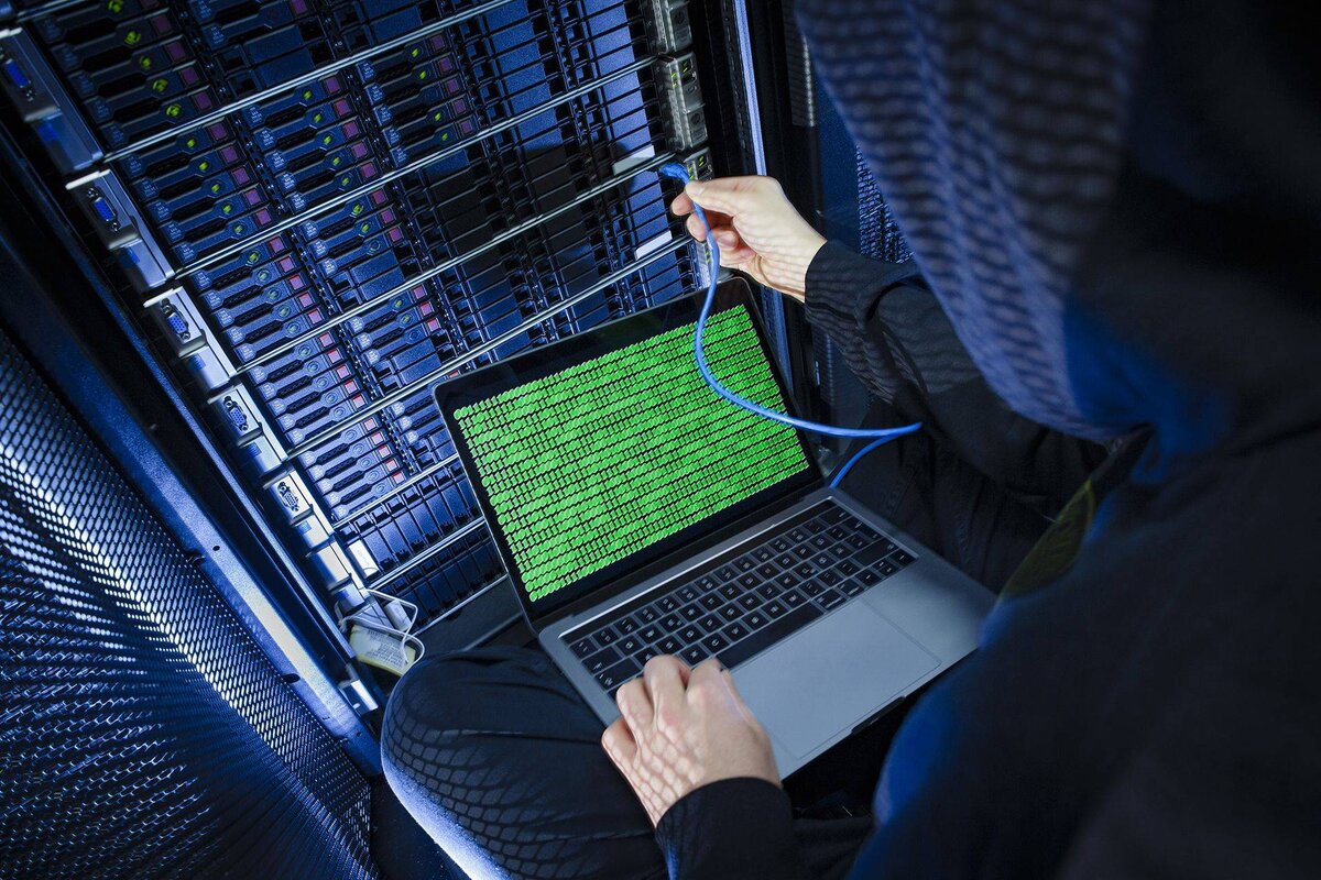 Фото из открытых ресурсов интернета