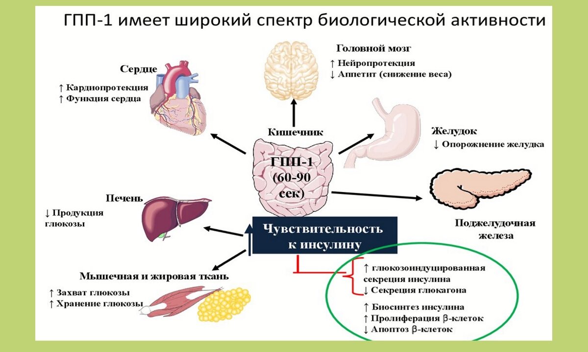 Популярный разгрузочный день у худеющих - молокочай. Его польза и возможный  вред | Дамы, давайте худеть вместе | Дзен