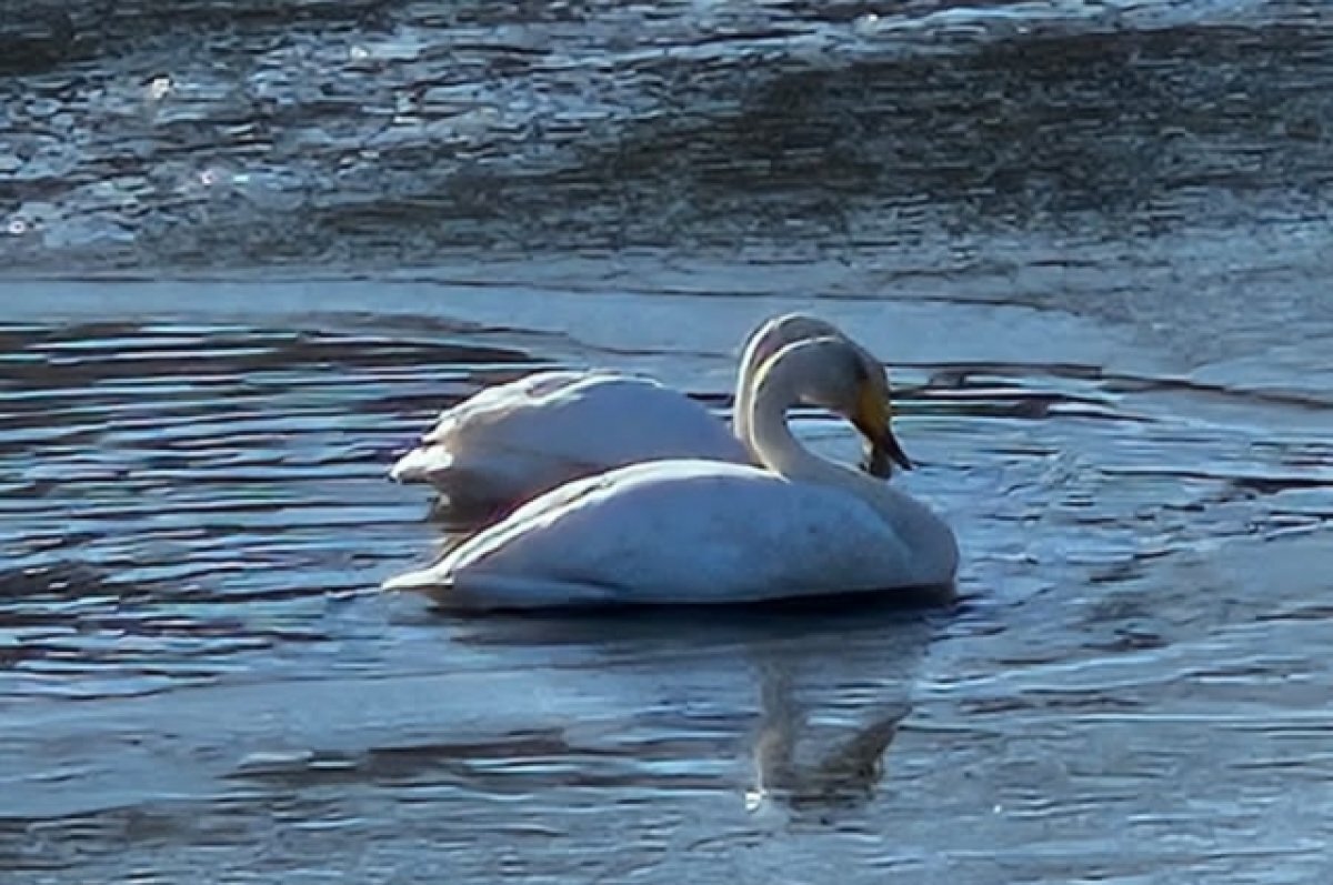   Руками не трогать.