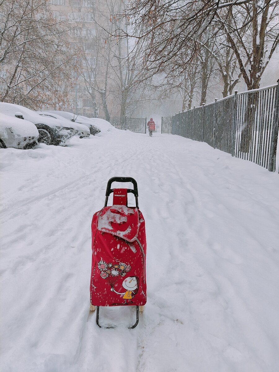 Фото автора. Тележка моя, помню, как тяжело было ее тащить по сугробам... 