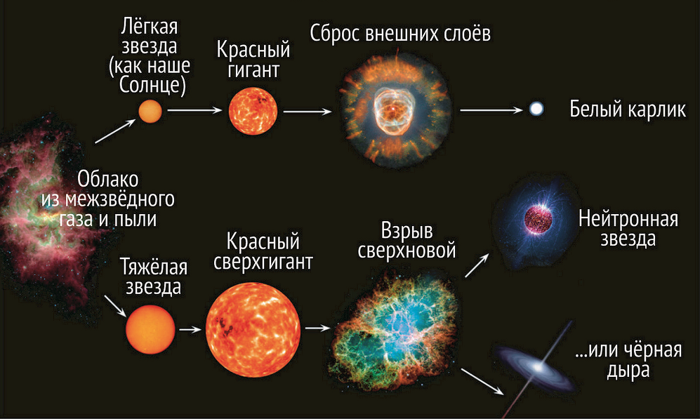 Энергия солнца и звезд эволюция звезд. Схема звездной эволюции. Стадии жизненного цикла звезды. Этапы развития звезды. Эволюция звёзд схема протозвезда.