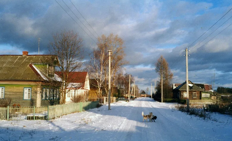 Яндекс картинки