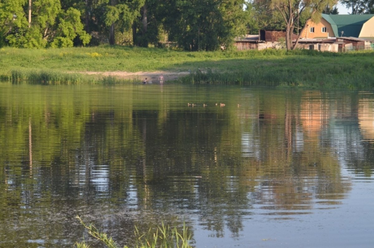    В Новосибирской области обнаружили залежи популярного в Китае сапропеля