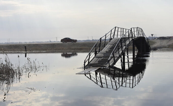 © Фото Ларисы Рощиной из архива VN.ru.📷
