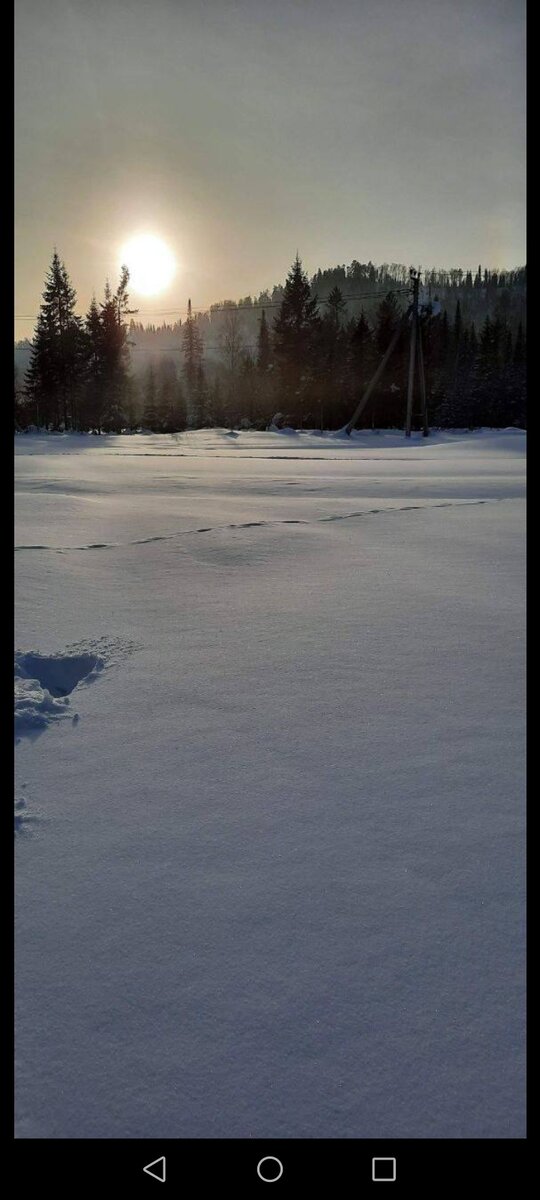 Всё с солнцем просыпается 