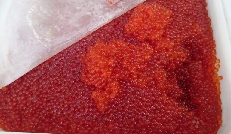    В Оренбуржье пресекли попытку незаконного вывоза более 100 кг лососевой икры в Казахстан Кристина Просвиркина