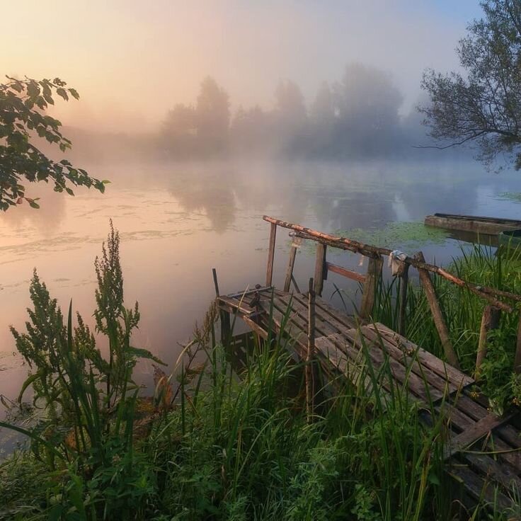 Ранним утром прекрасно 