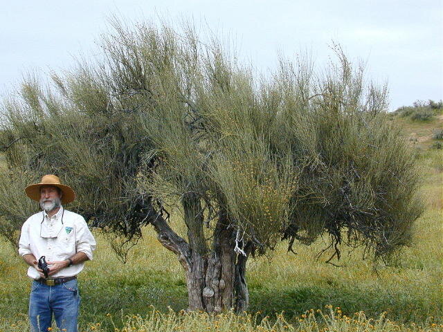 Народная мудрость гласит если. Взгляд мужчины на женщину. Народная мудрость гласит если у девушки нет новых. Месячные мемы мемы. Ёлка певица 2022.
