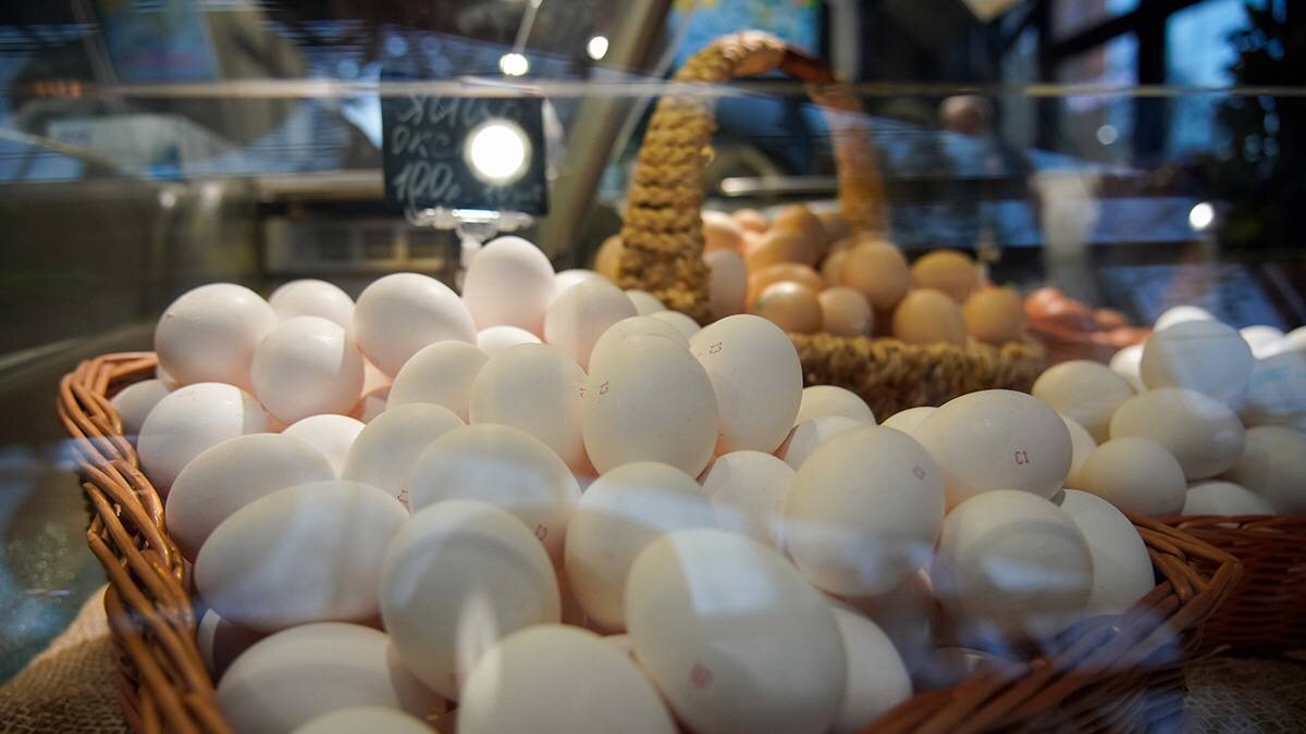    Фото: Александр Авилов / АГН Москва