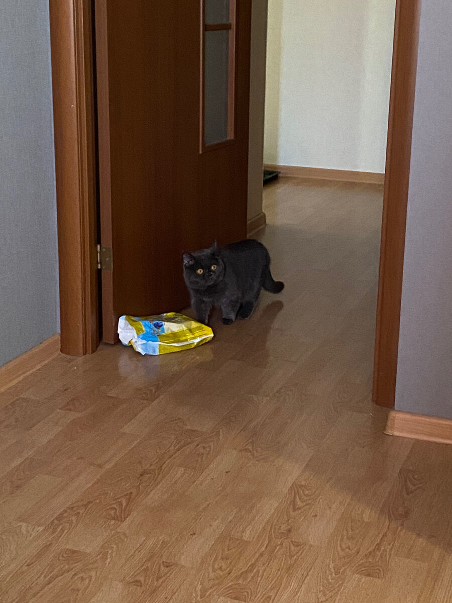 Мадам тащит мне упаковку от трусиков для купания 