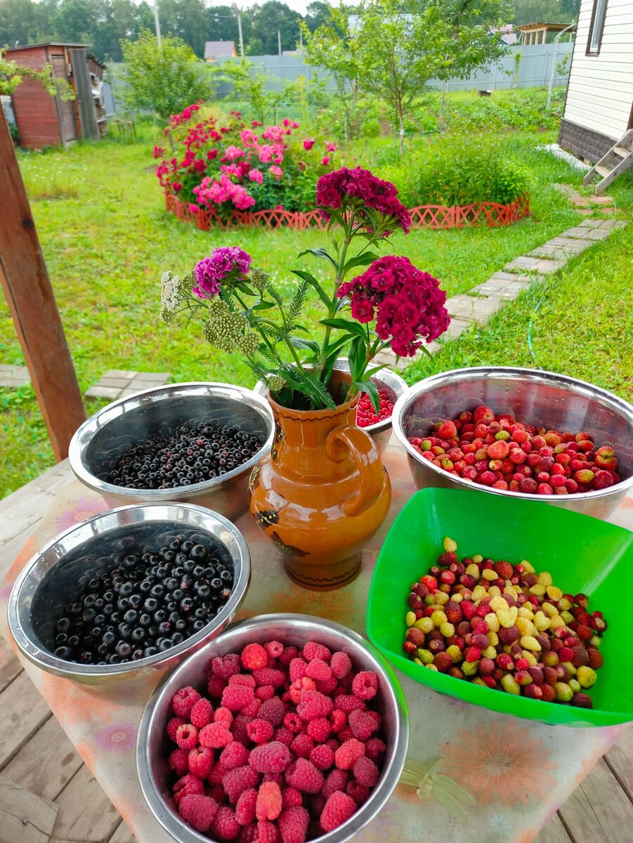 Стройка продолжается, но вокруг уже зелено и вкусно. Лето 2023.