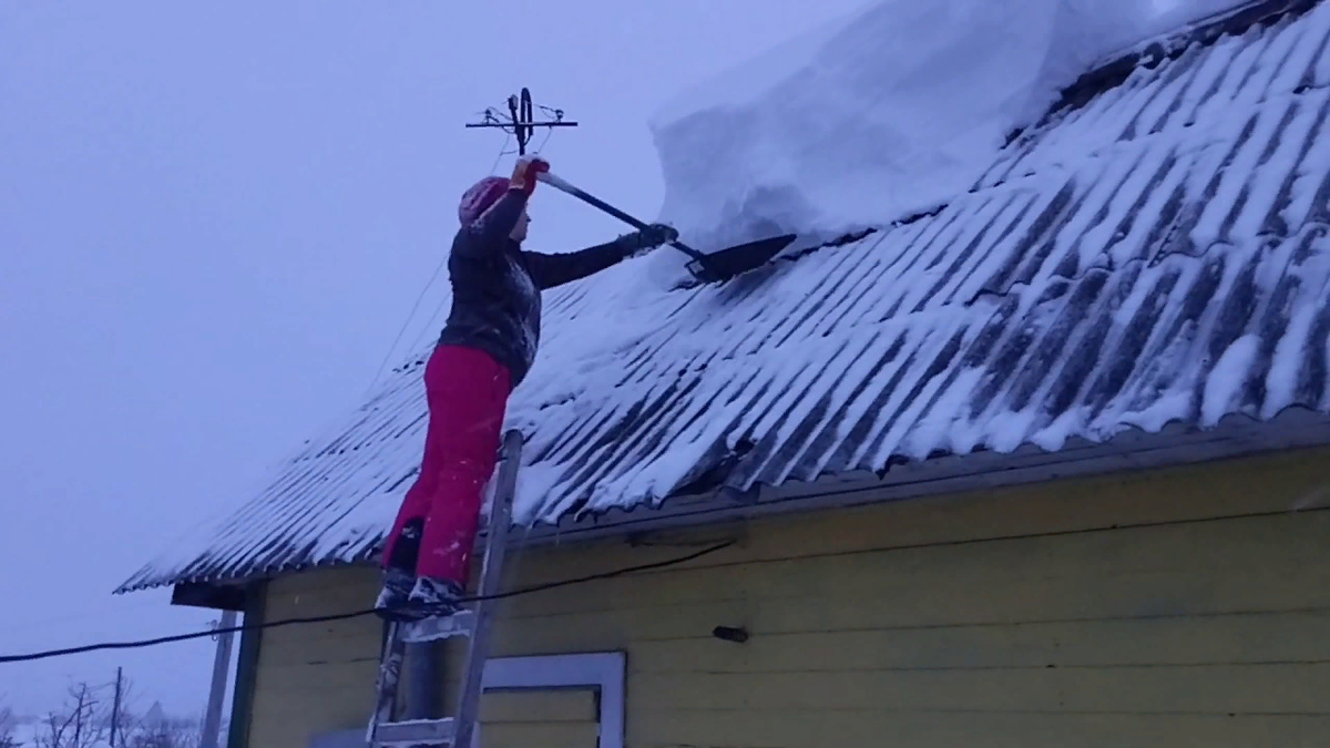 Фото из открытых источников.