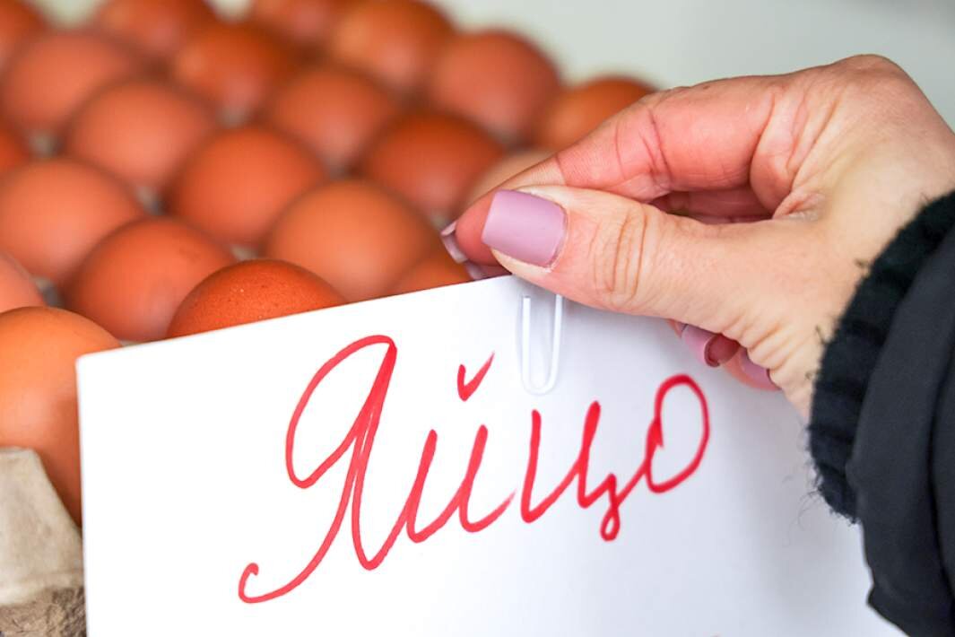 Фото: ТАСС/Алексей Коновалов