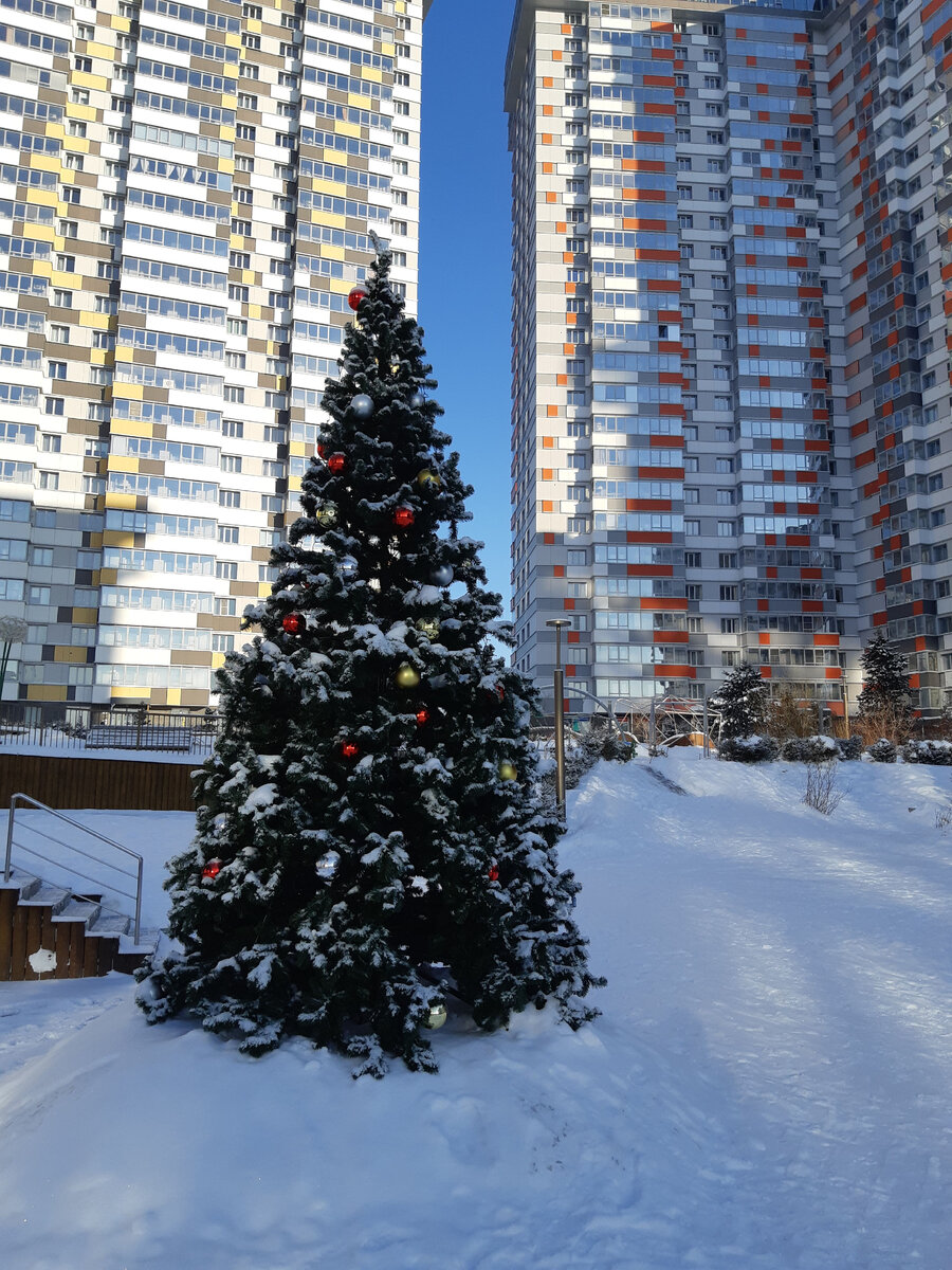 Новогодняя елка в одном из дворов города