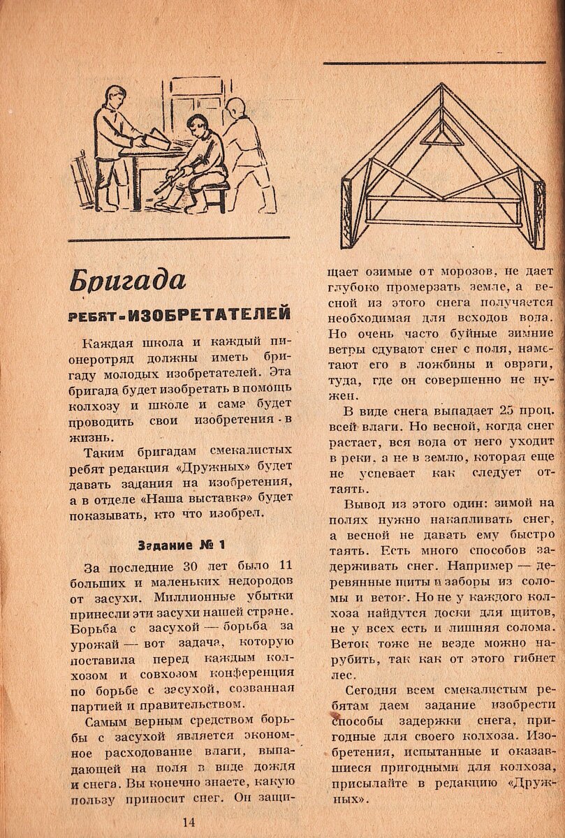 Улетели, но обещали вернуться: о миграции птиц Арктики