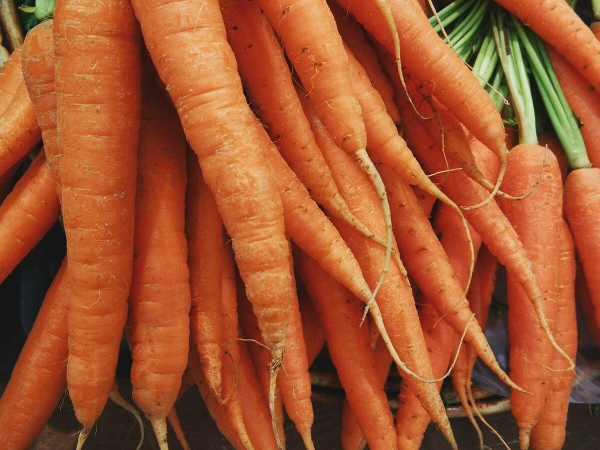 Овощи с глинистой почвы хранятся хуже / pxhere.com (18+)