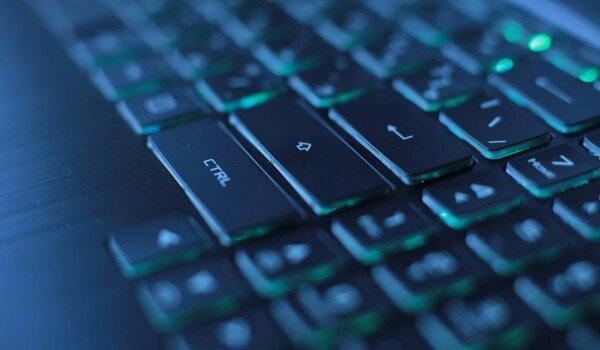 фото: mos.ru/donm