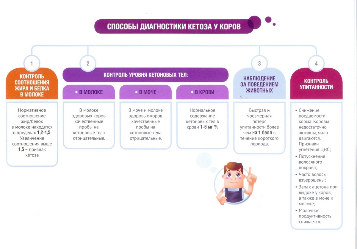 Курсовая кетоз. Кетоз. Кетоз как запустить. Оценка кетоза таблица.