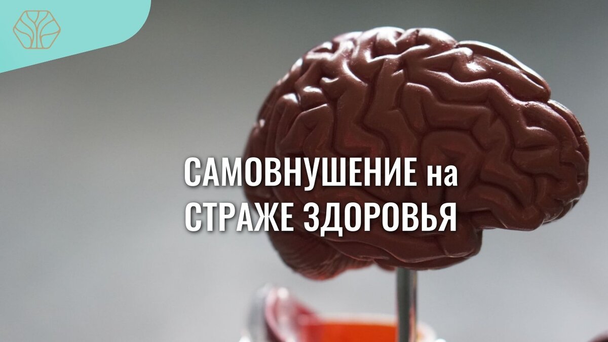 Мозг является мощным энергетическим источником. А энергия, которую он вырабатывает — это сама жизнь! 