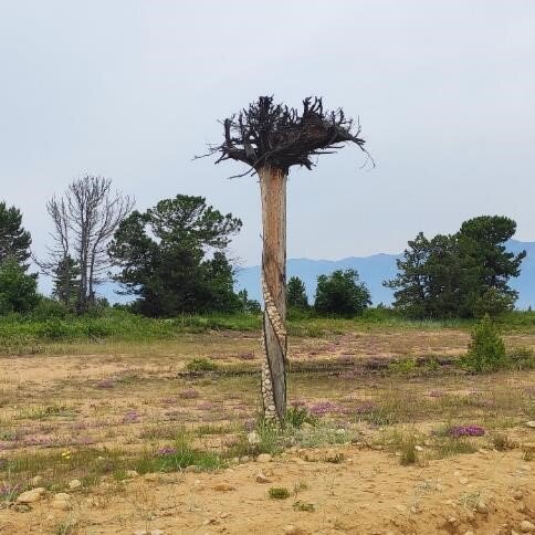 Это с левой стороны 