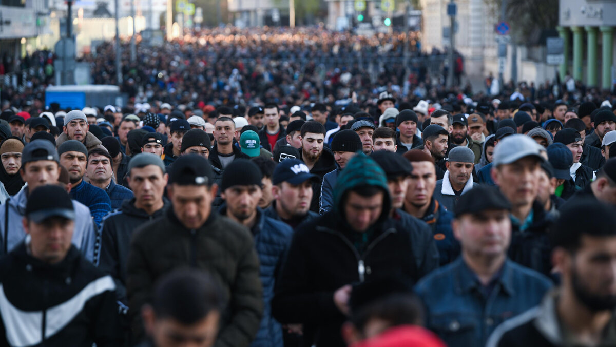 Теперь многое стало понятно. Почему в Петербурге мигрантский беспредел вышел на такой запредельный уровень.-2